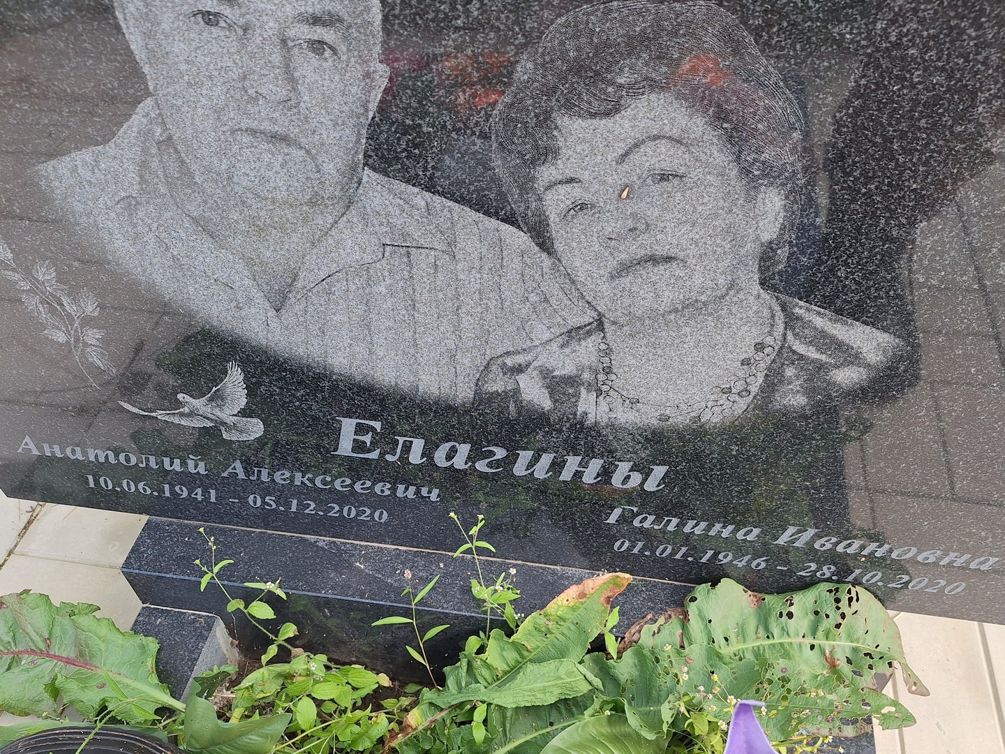 Елагина