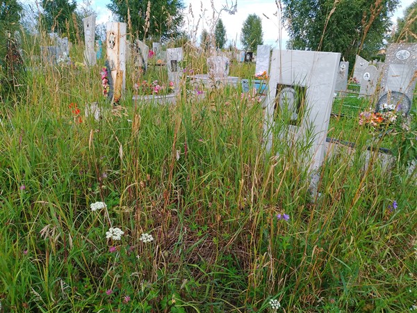Николаев Анатолий Иванович