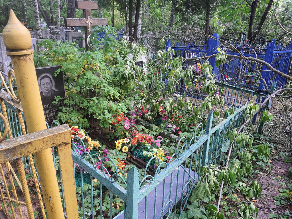 Старостина Инесса Ивановна