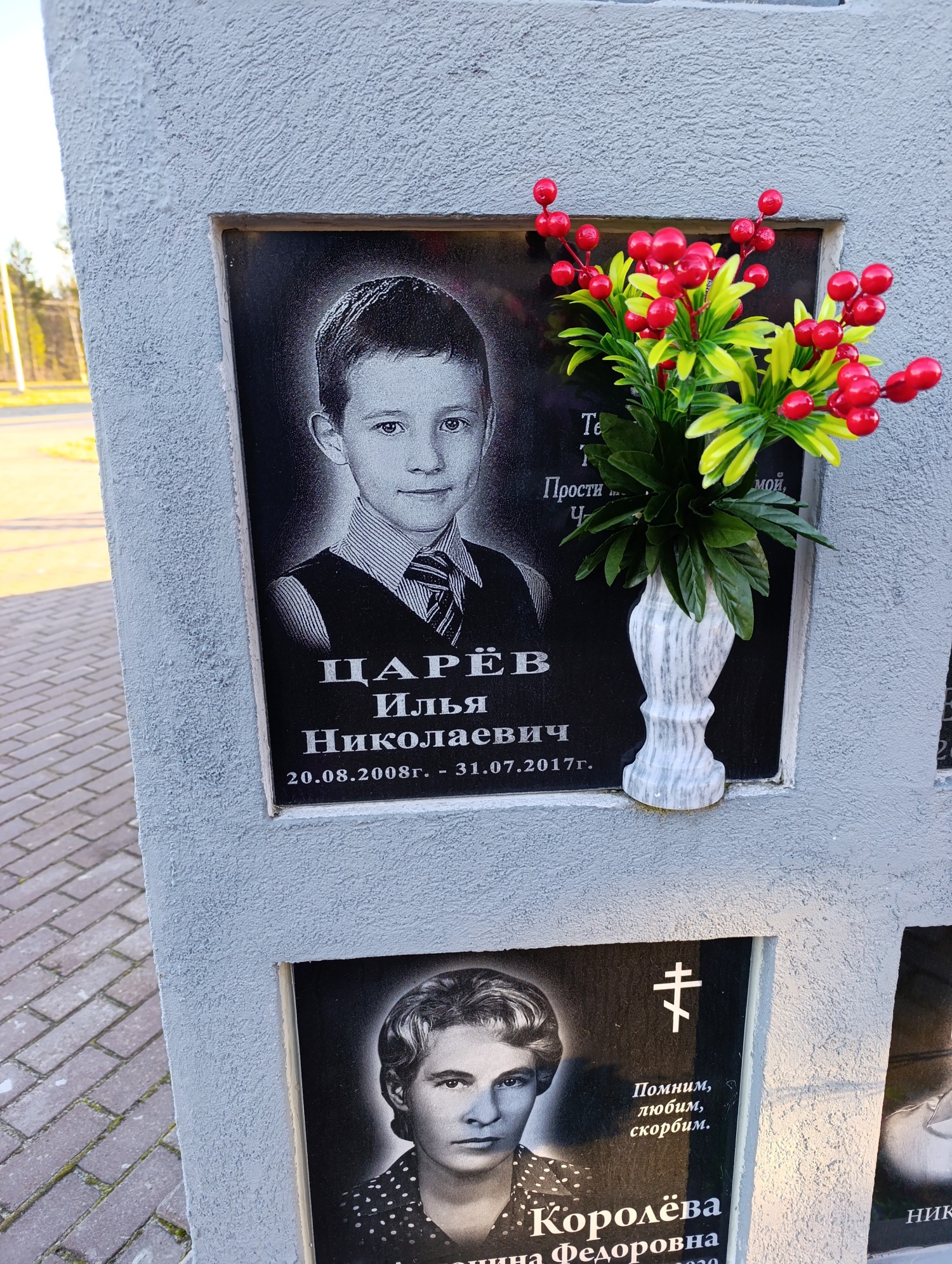 Царев Илья Николаевич