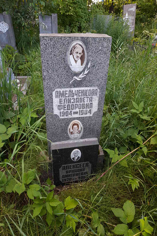 Алексеев Аркадий Дмитриевич