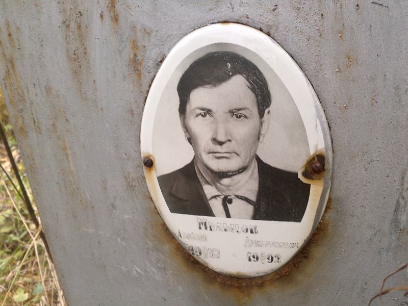 Мельцов