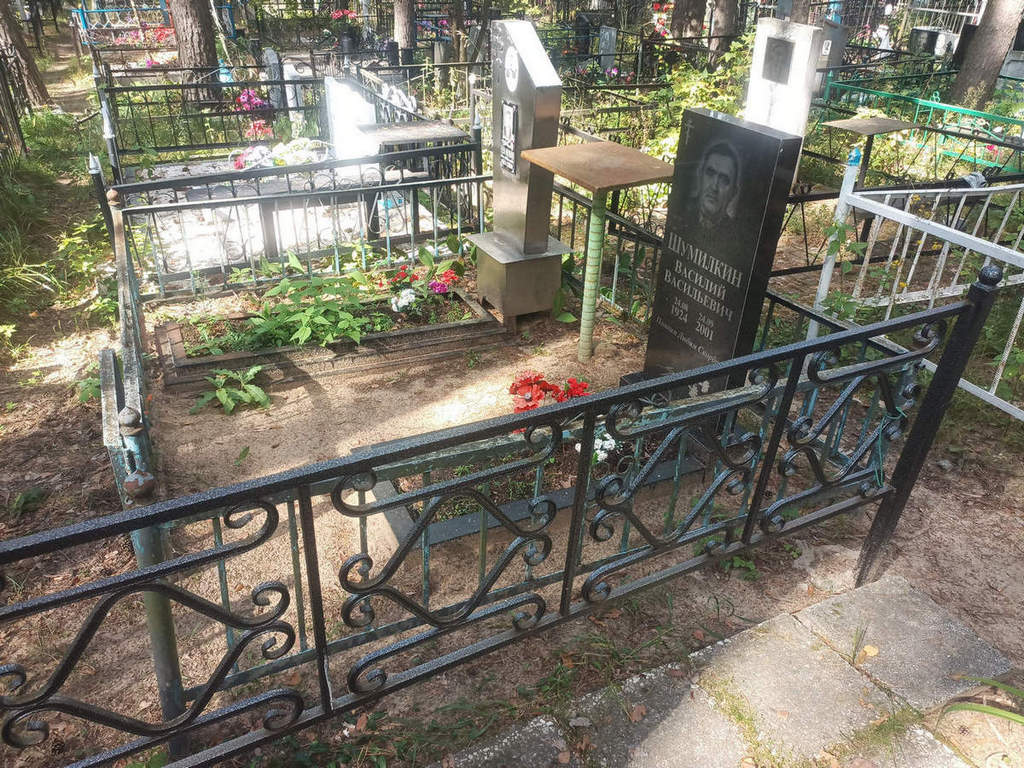 Шумилкин Василий Васильевич