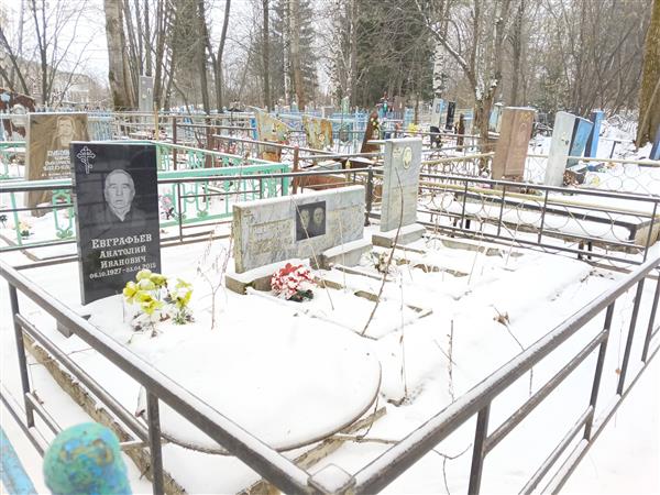 Шишленина Дарья Сергеевна