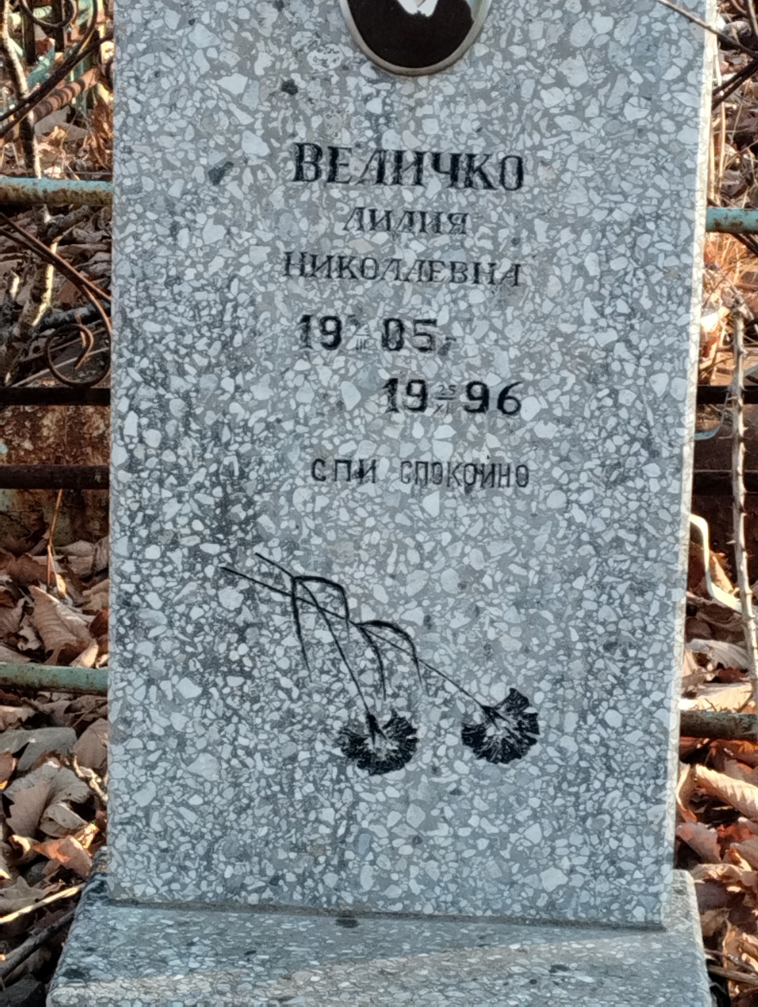 Величко Лидия Николаевна
