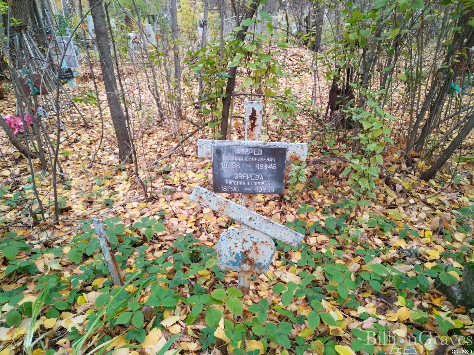 Зверев Василий Савельевич