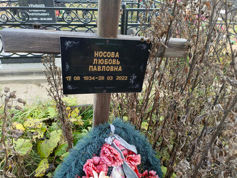 Носова