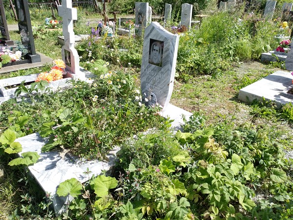 Сайфуллин Александр Салаватович