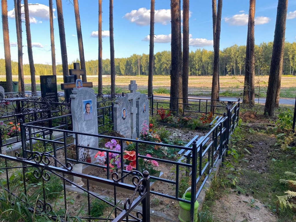 Чесноков Дмитрий Алексеевич