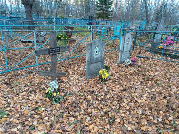 Шмаргунова Наталья Гавриловна