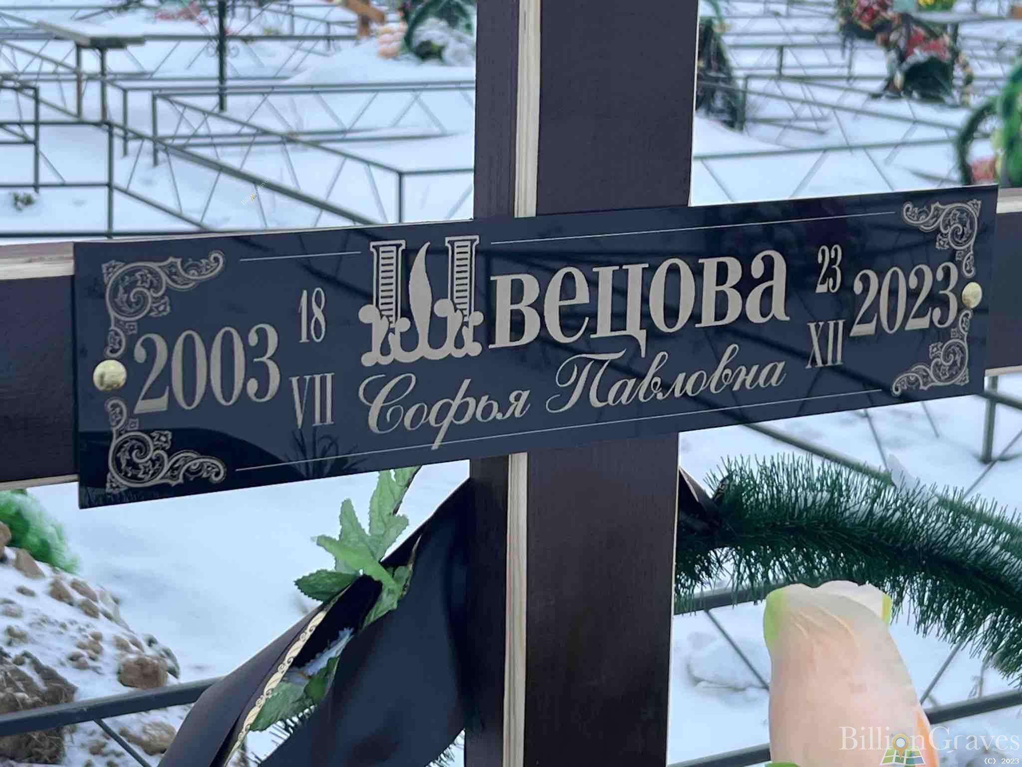 Швецова Софья Павловна