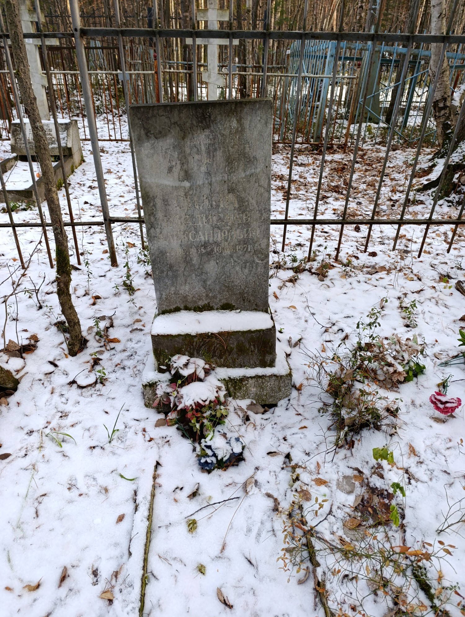 Силин Владислав Александрович