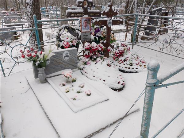 Дмитриева Елена Анатольевна