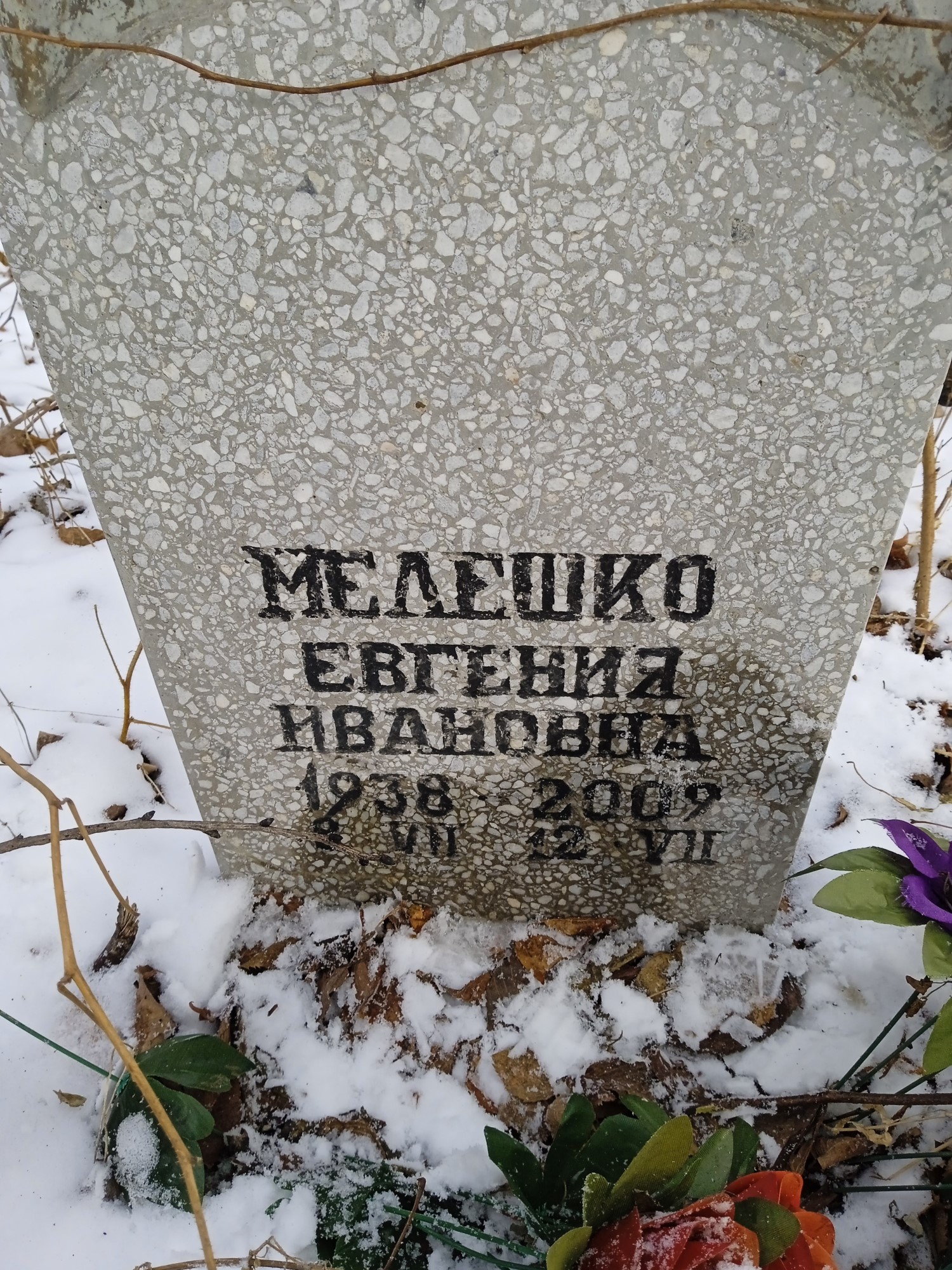 Мелешко Евгения Ивановна