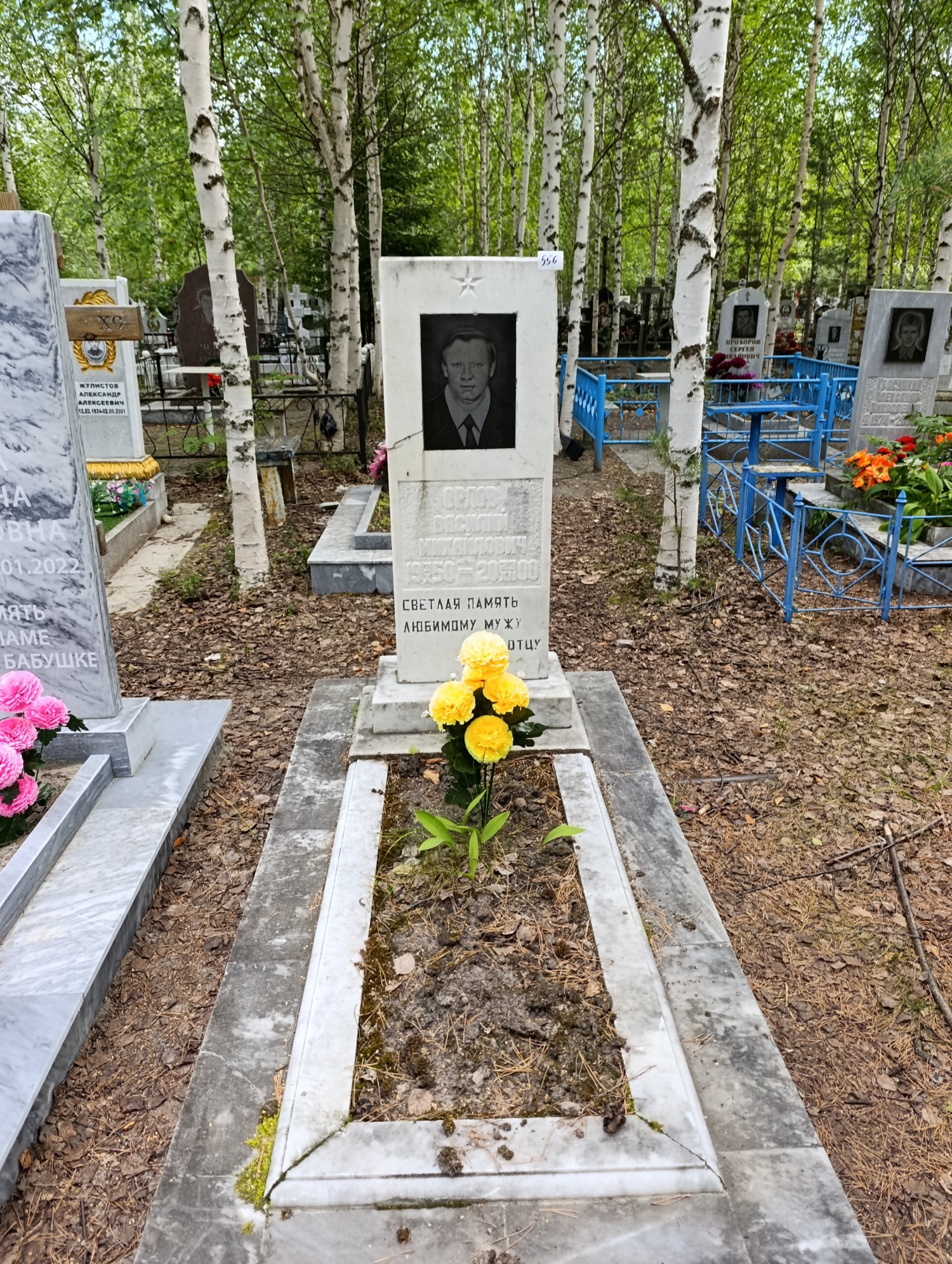 Орлов Василий Михайлович