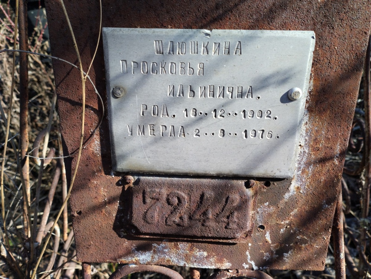Шлюшкина Просковья Ильинична