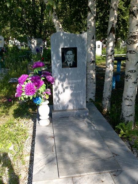 Дубовицкий Виктор Ильич
