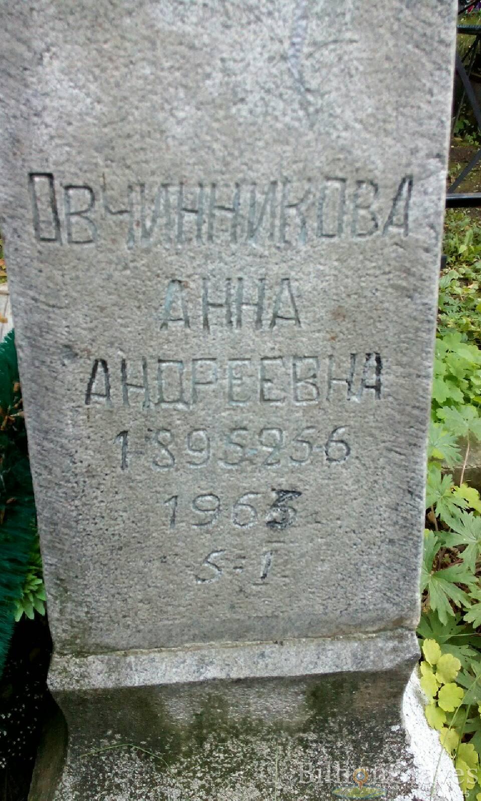 Овчинникова Анна Андреевна