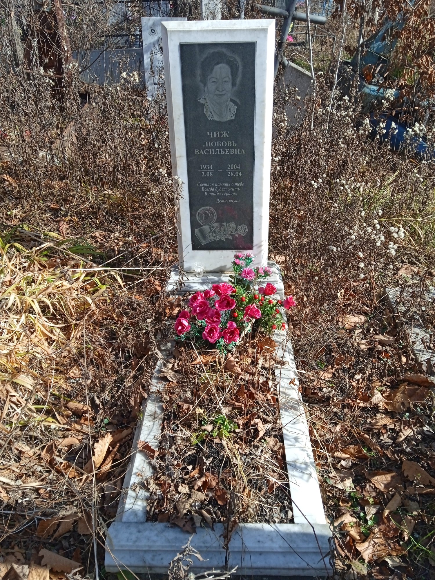 Чиж Любовь Васильевна