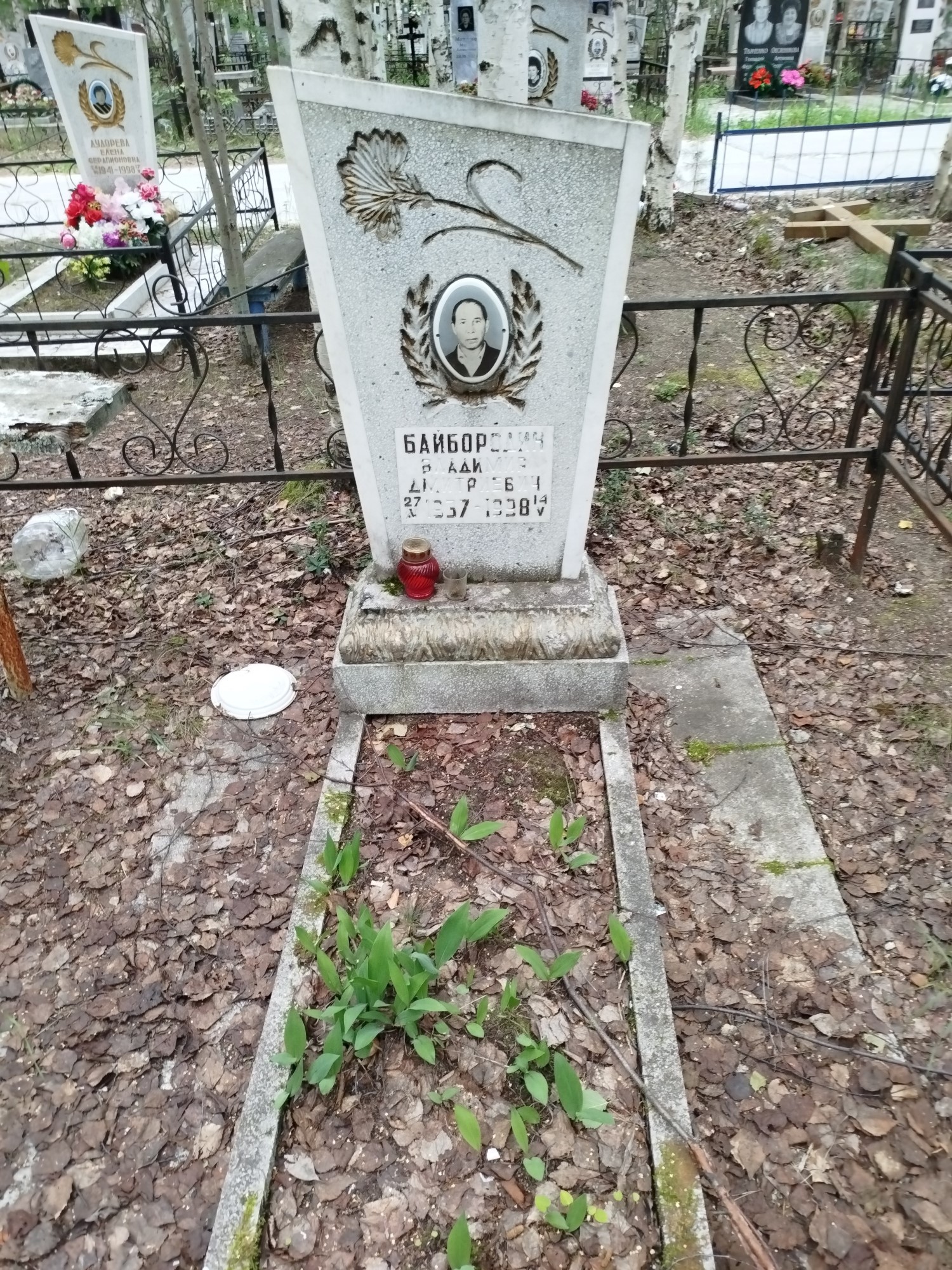 Байбородин Владимир Дмитриевич