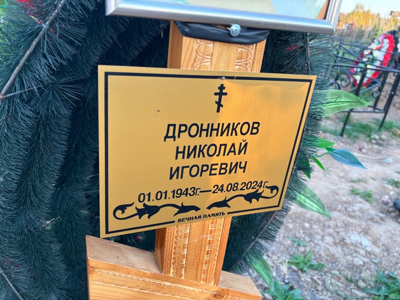 Дронников