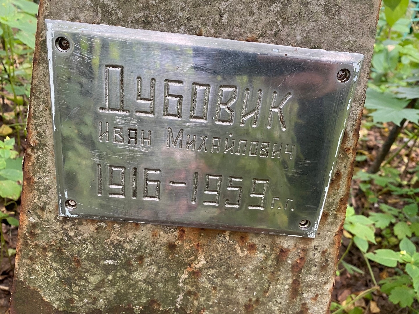 Дубовик