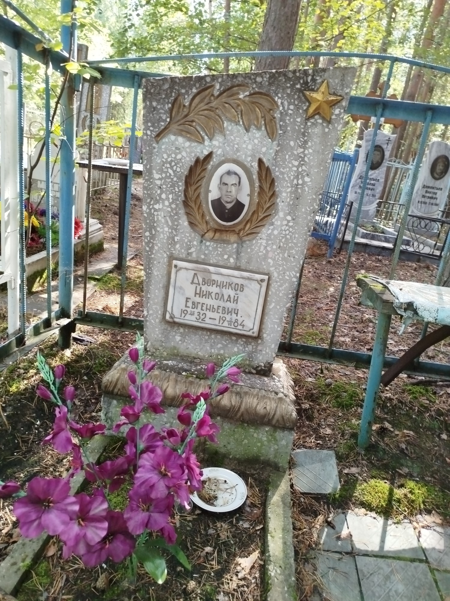 Дворников Николай Евгеньевич