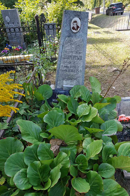 Лаврентьев Ф. Г.