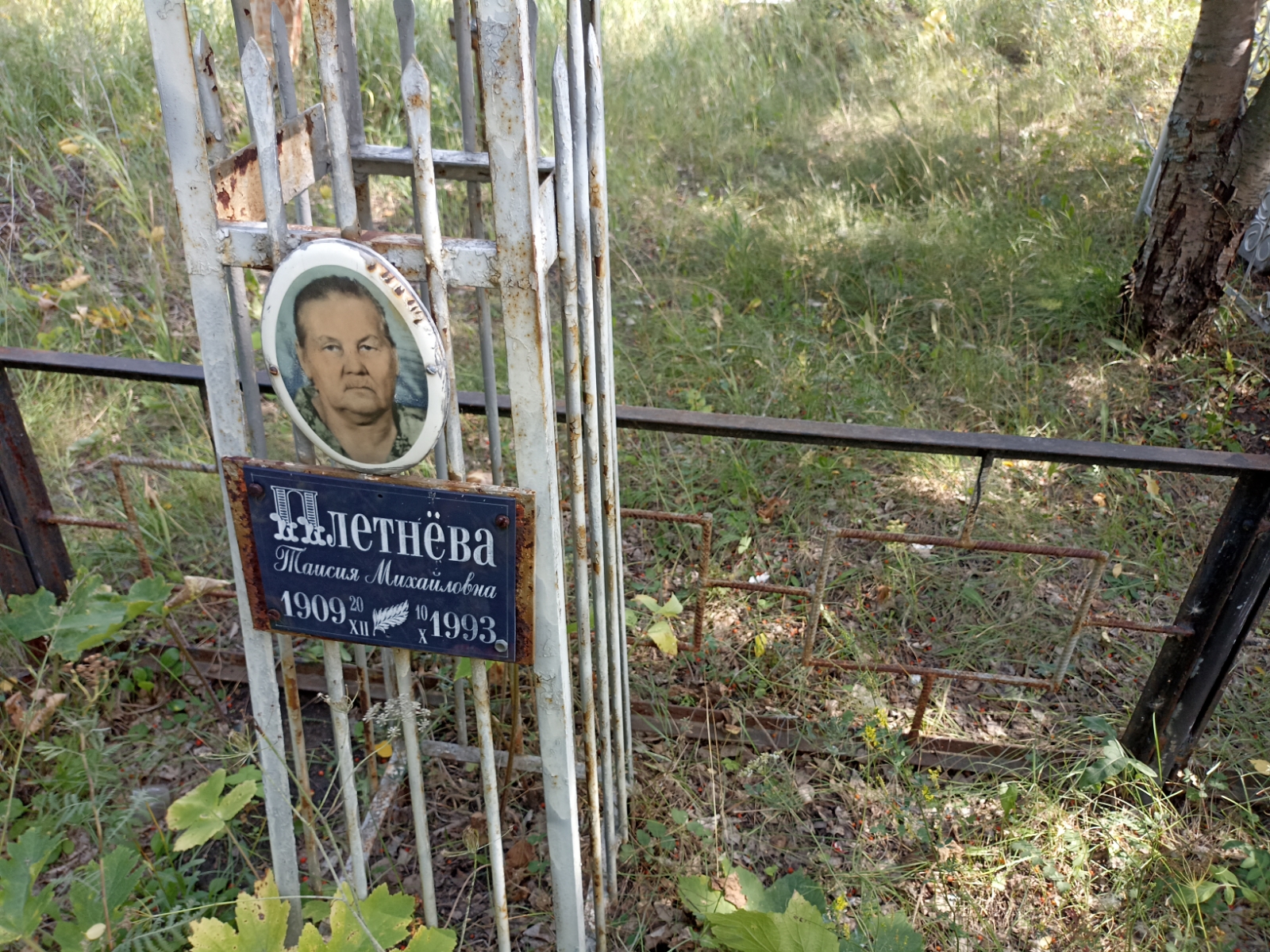 Плетнёва Таисия Михайловна