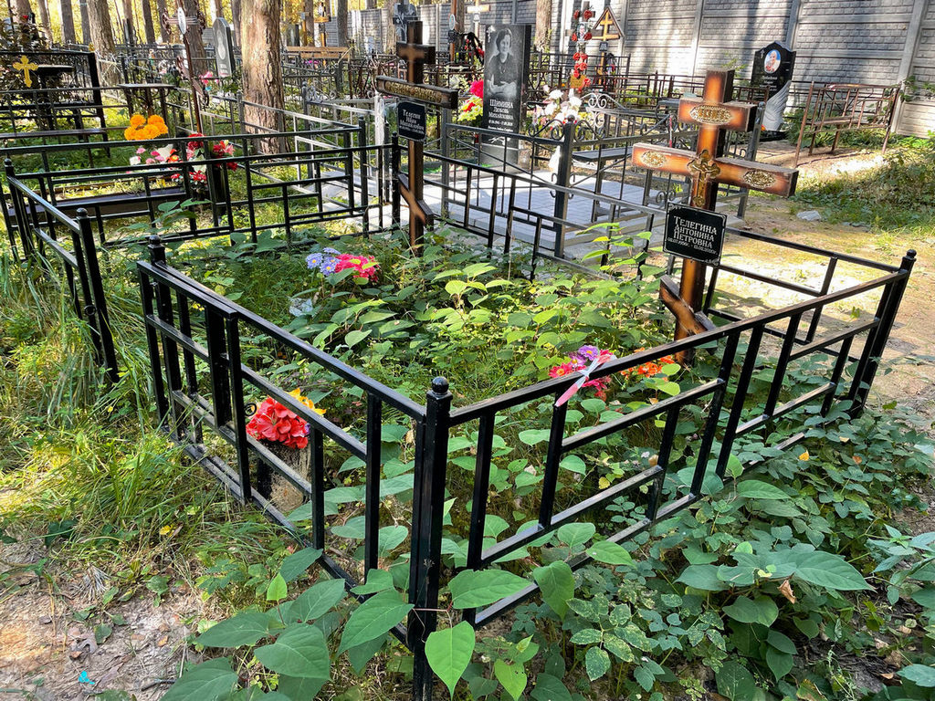 Телегина Антонина Петровна