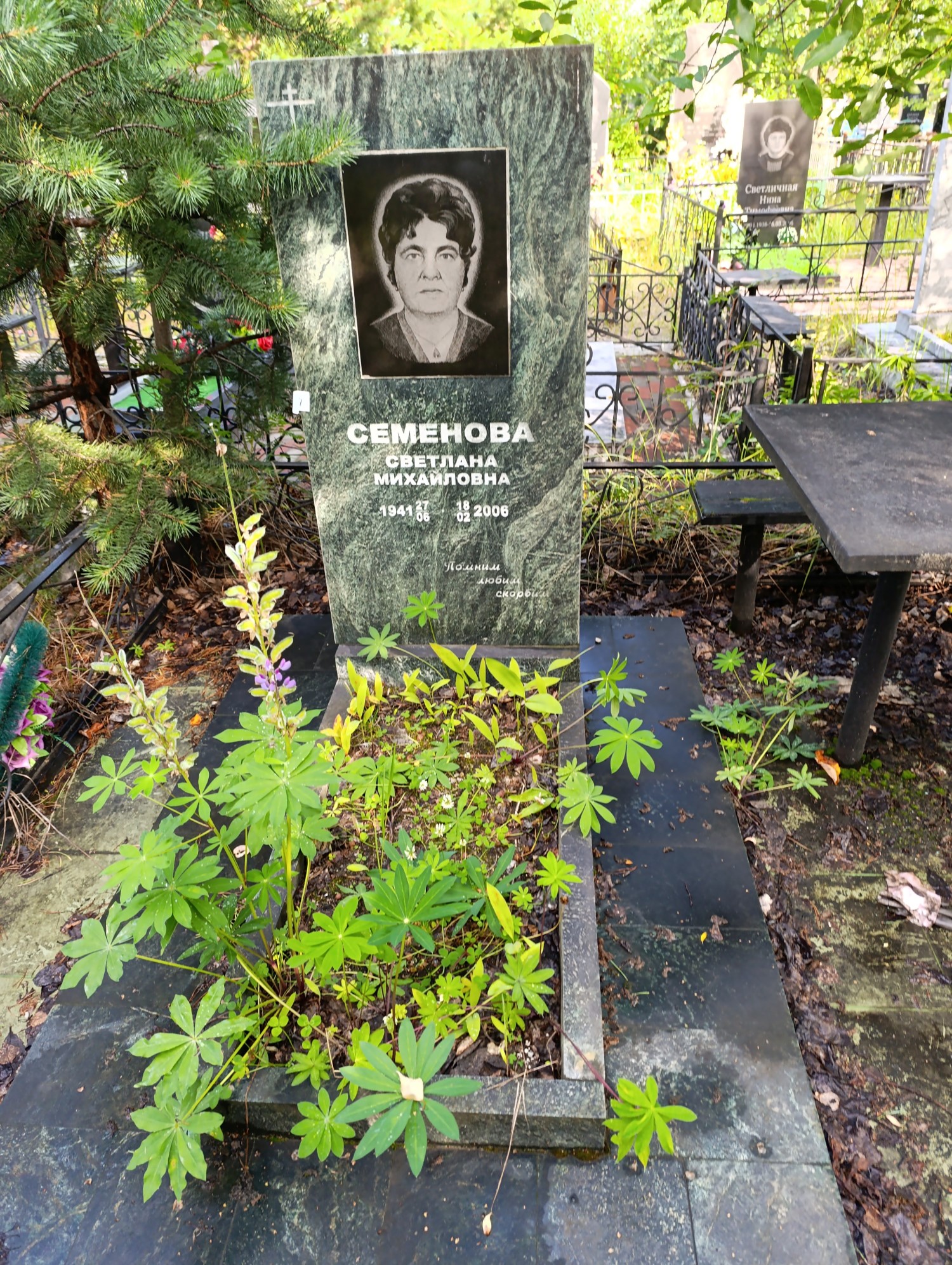 Семенова Светлана Михайловна