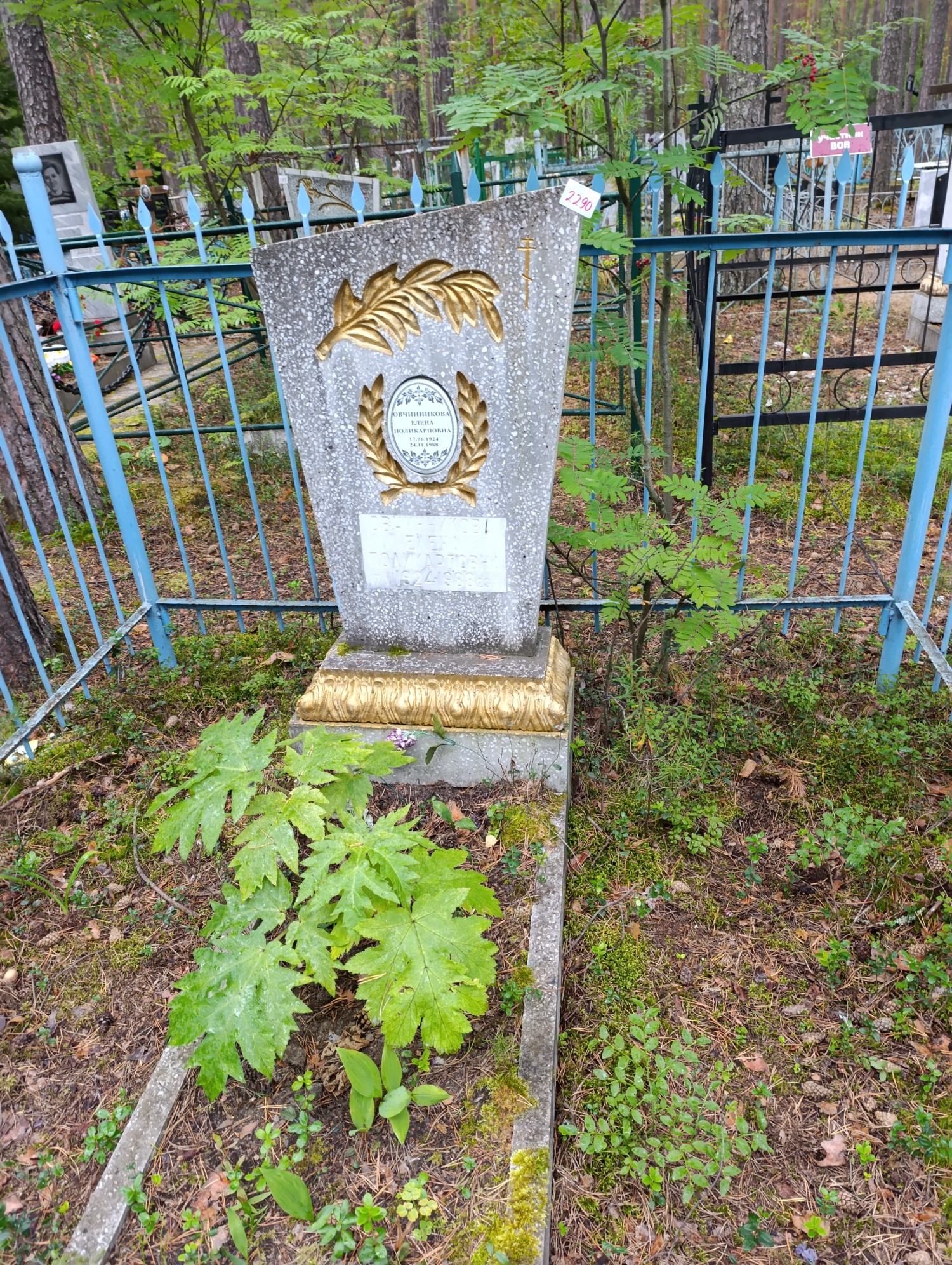 Овчинникова Елена Поликарповна