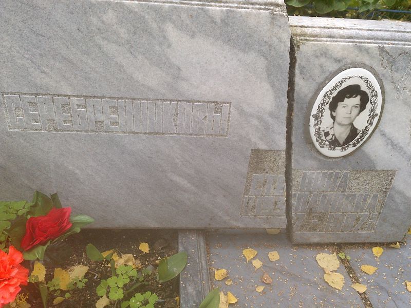 Серебренникова