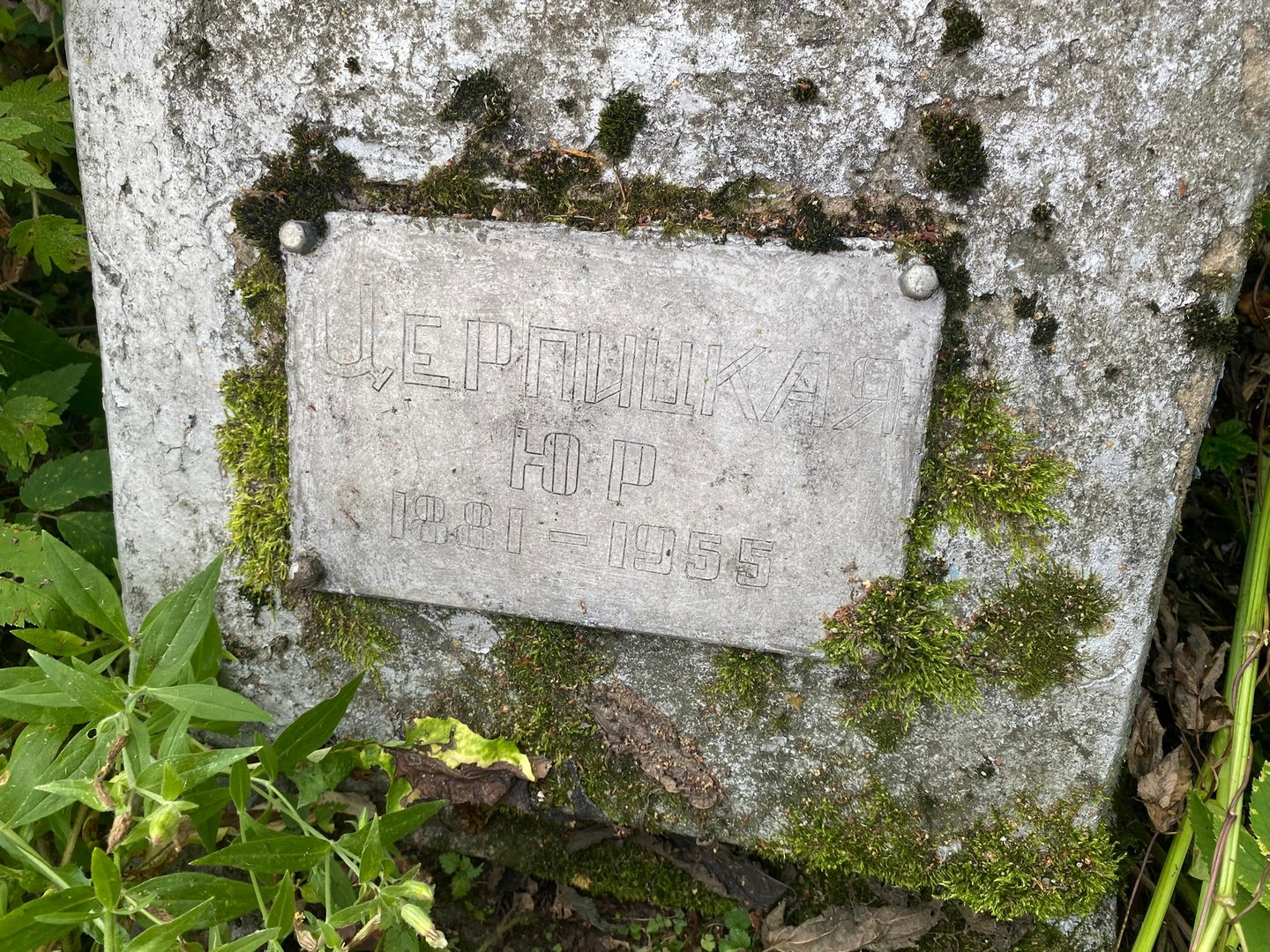 Ю Церпицкая Р