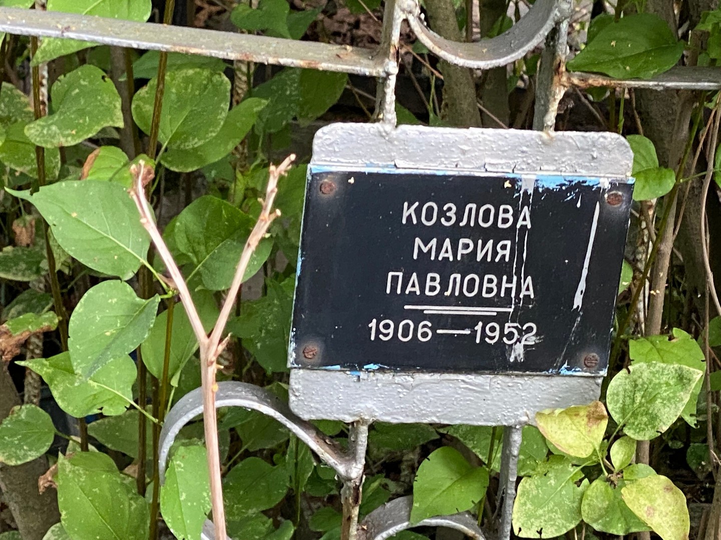 Козлова