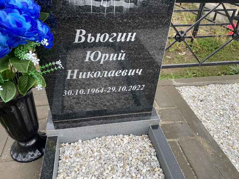Вьюгин
