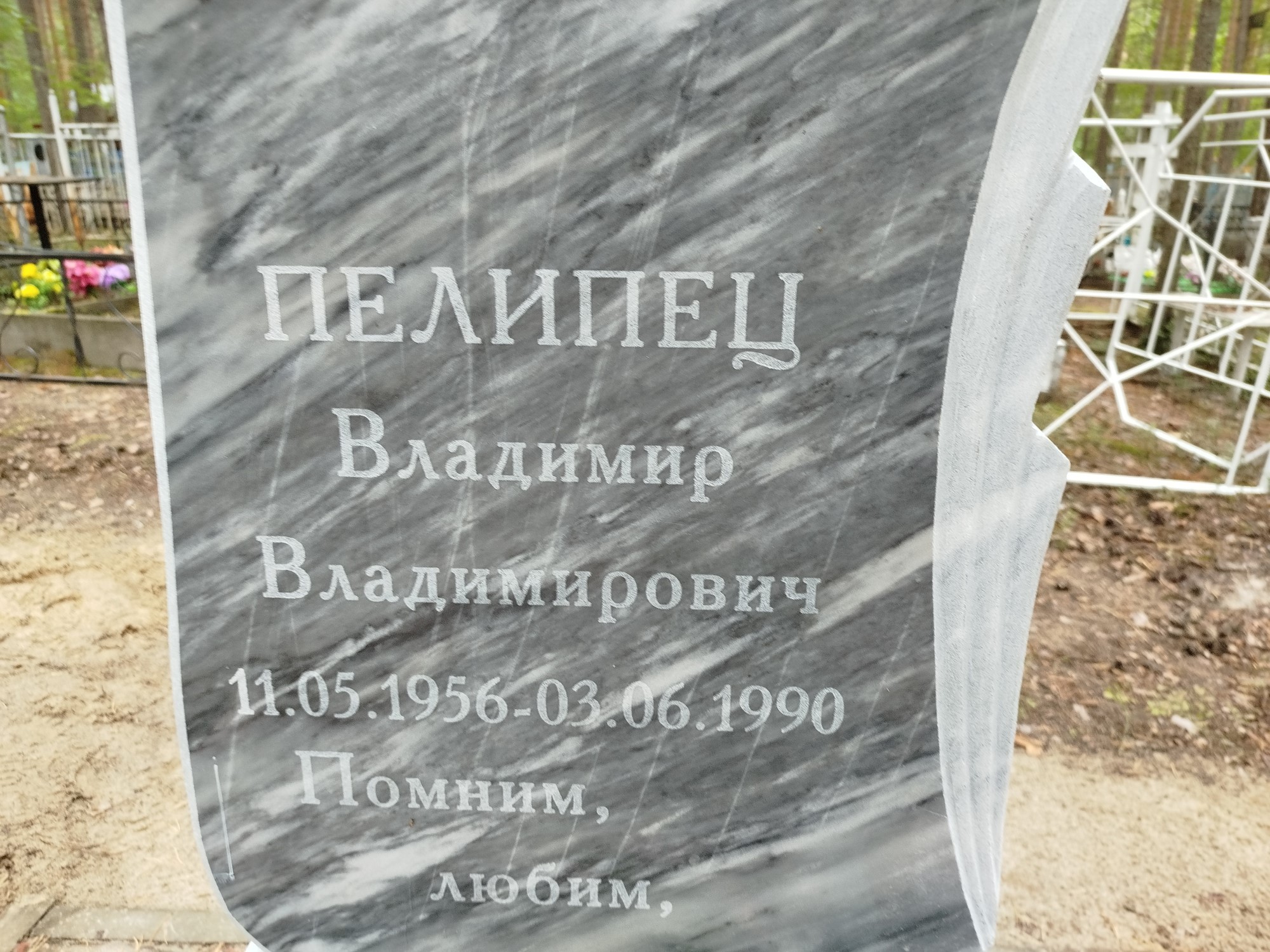 Пелипец Владимир Владимирович