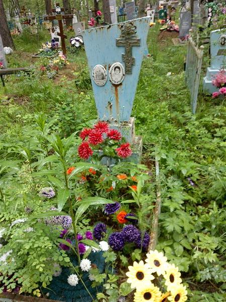Короткевич Анна Петровна
