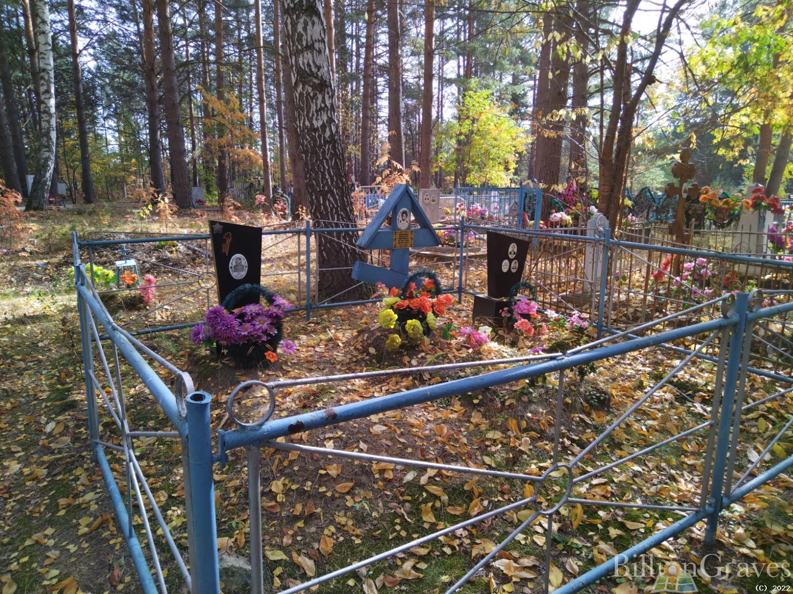 Шульгач Вера Юрьевна