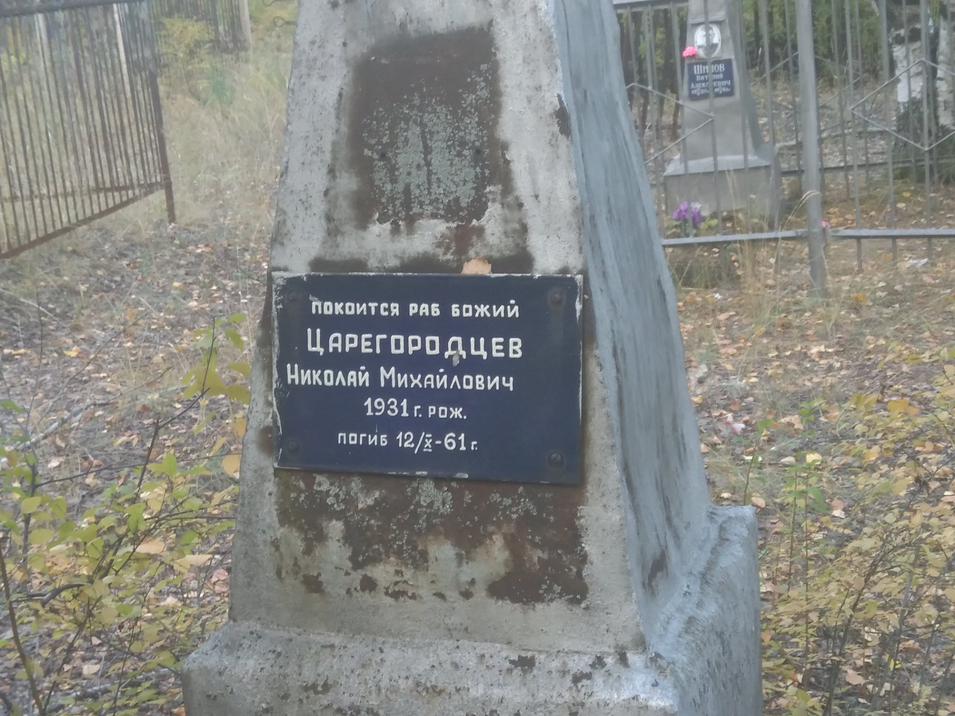 Царегородцев Николай Михайлович