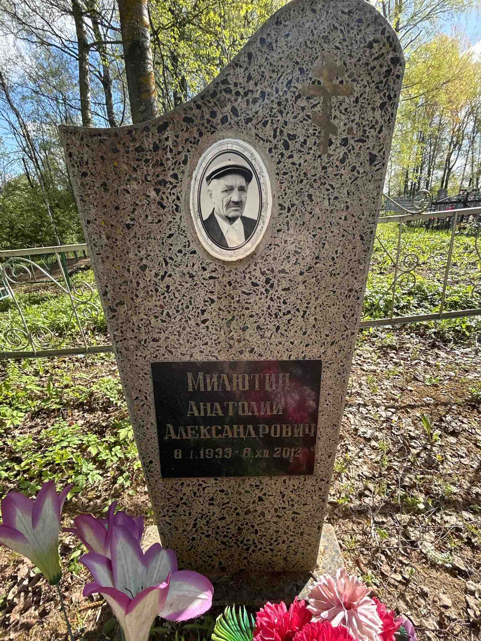 Милютин Анатолий Александрович