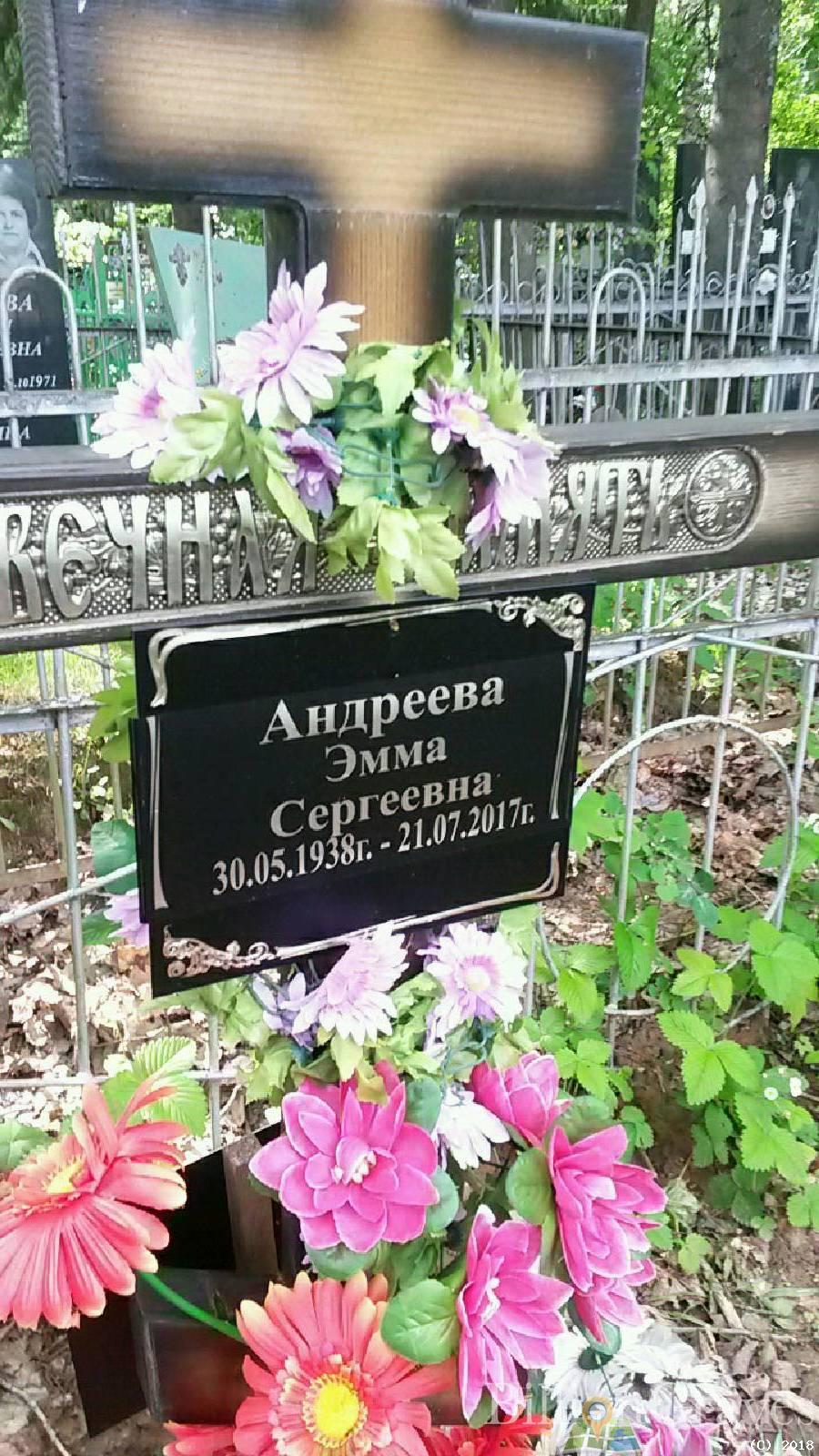 Андреева Эмма Сергеевна