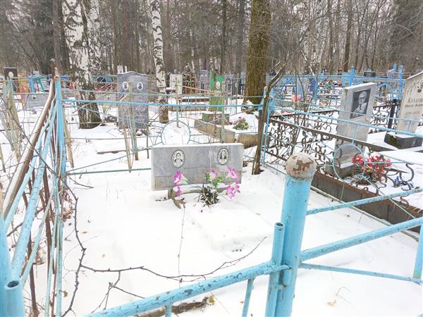 Спицын Анатолий Емельянович
