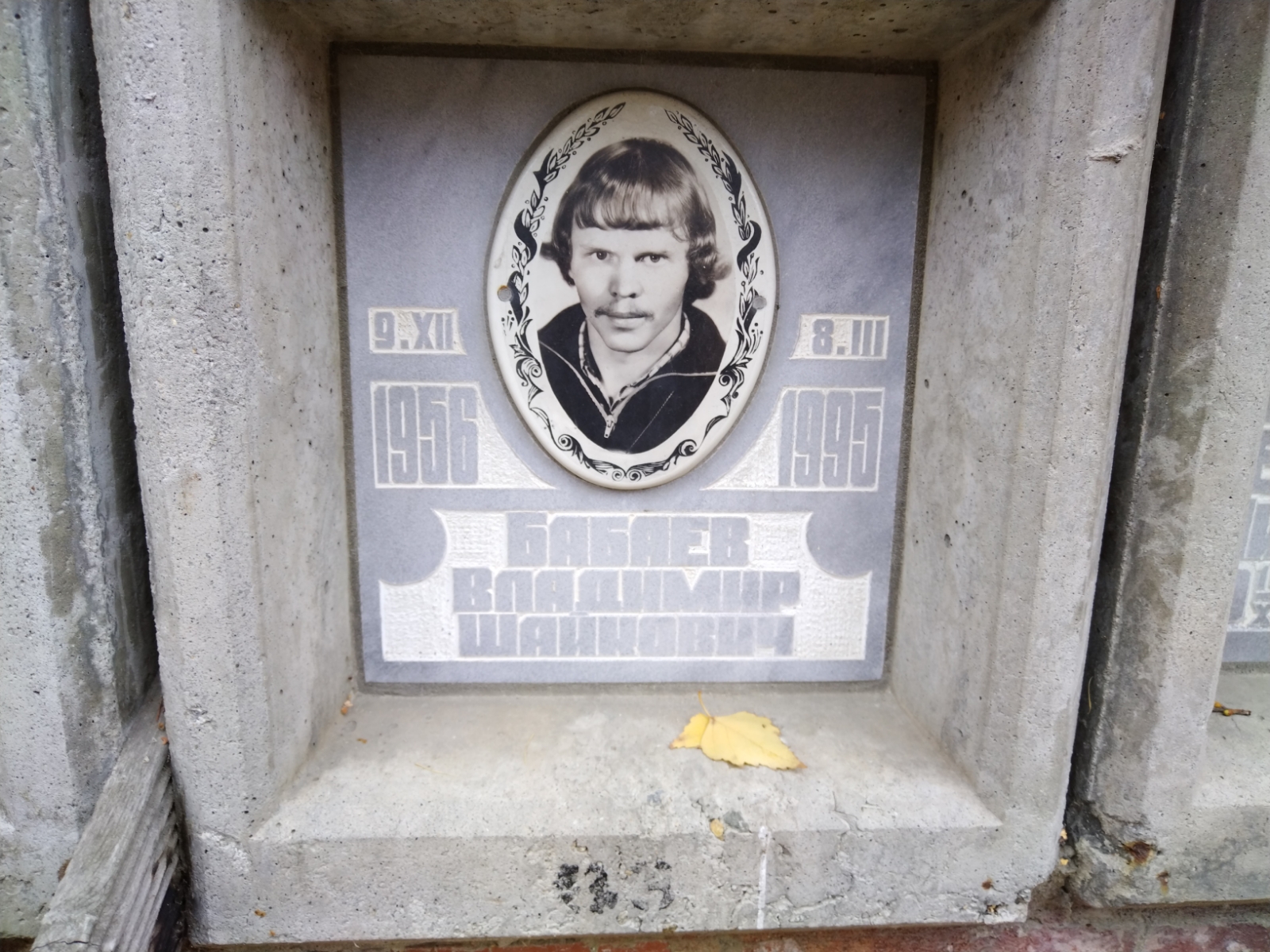 Бабаев Владимир Шайкович