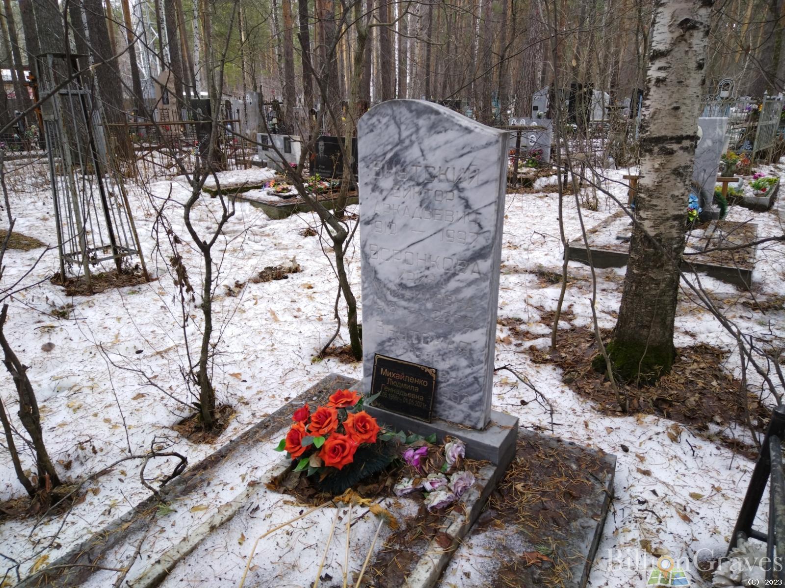 Михайленко Людмила Геннадьевна