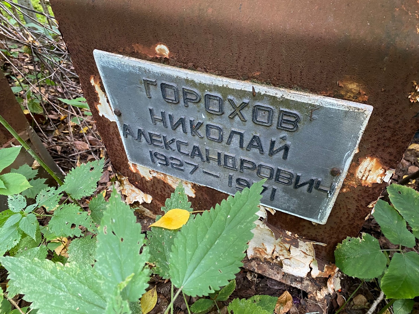 Горохов