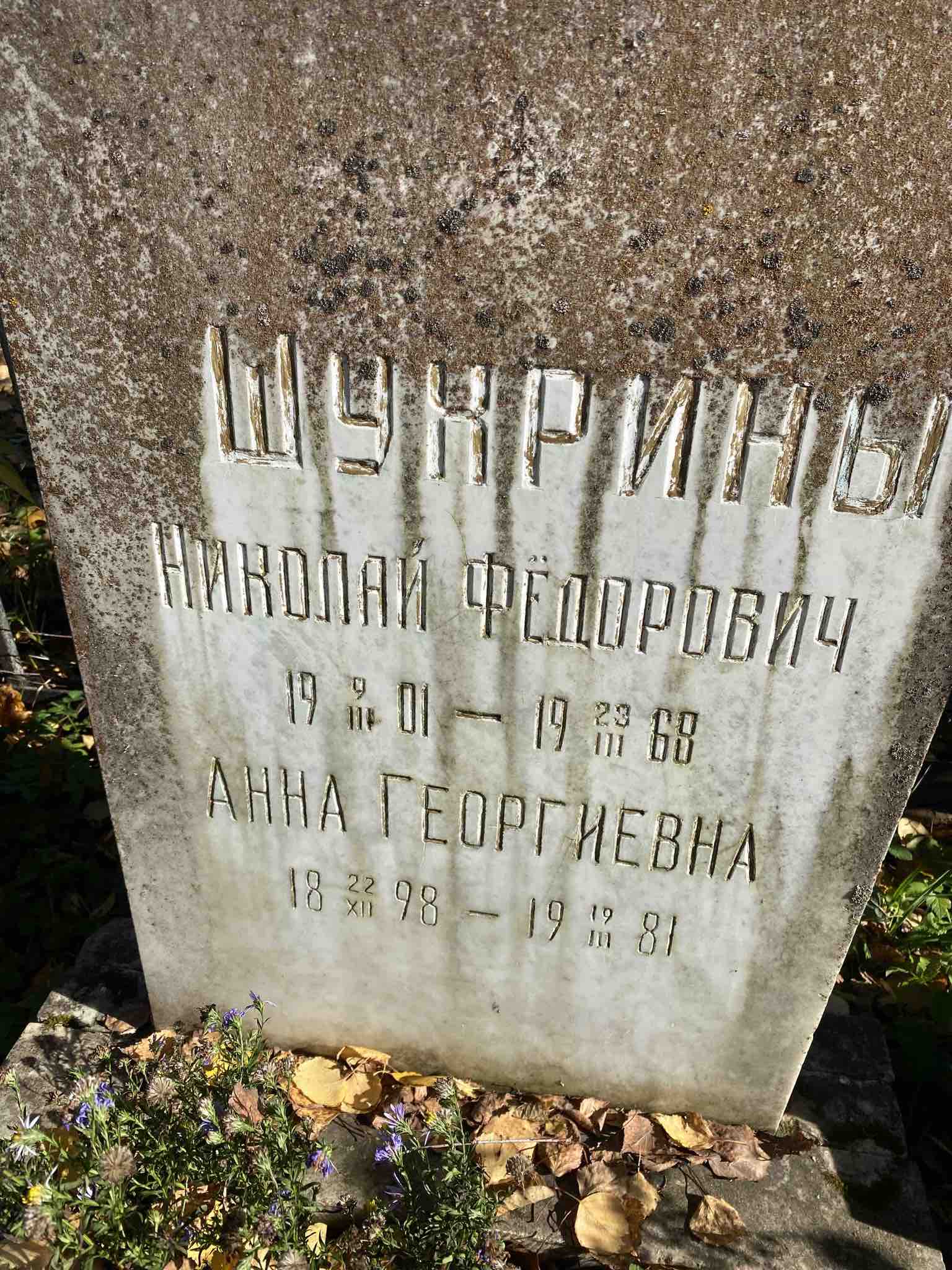 Шухрина Анна Георгиевна