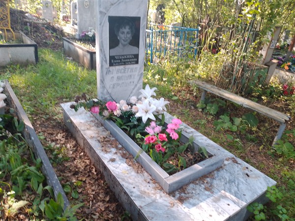 Чебыкина Елена Леонидовна