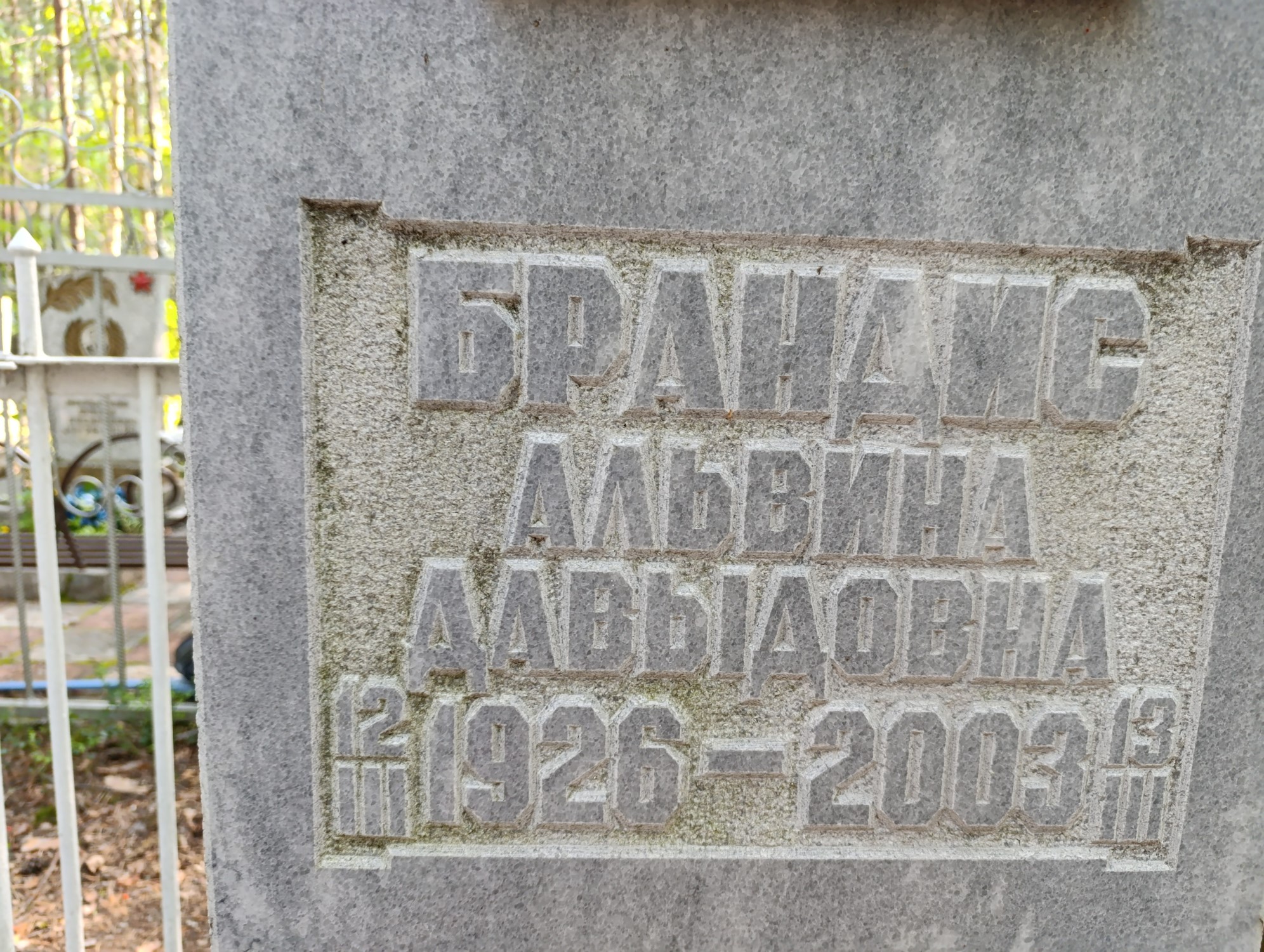 Брандис Альвина Давыдовна