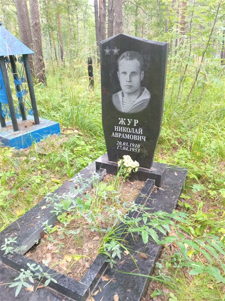 Жур Николай Аврамович